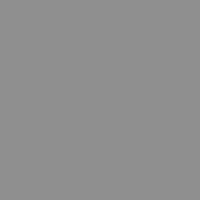 Aluminium RAL-9007 graualuminium
