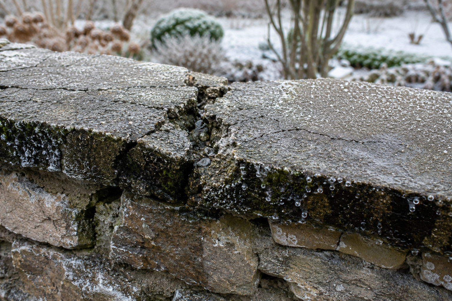 Risse in der Mauer beheben